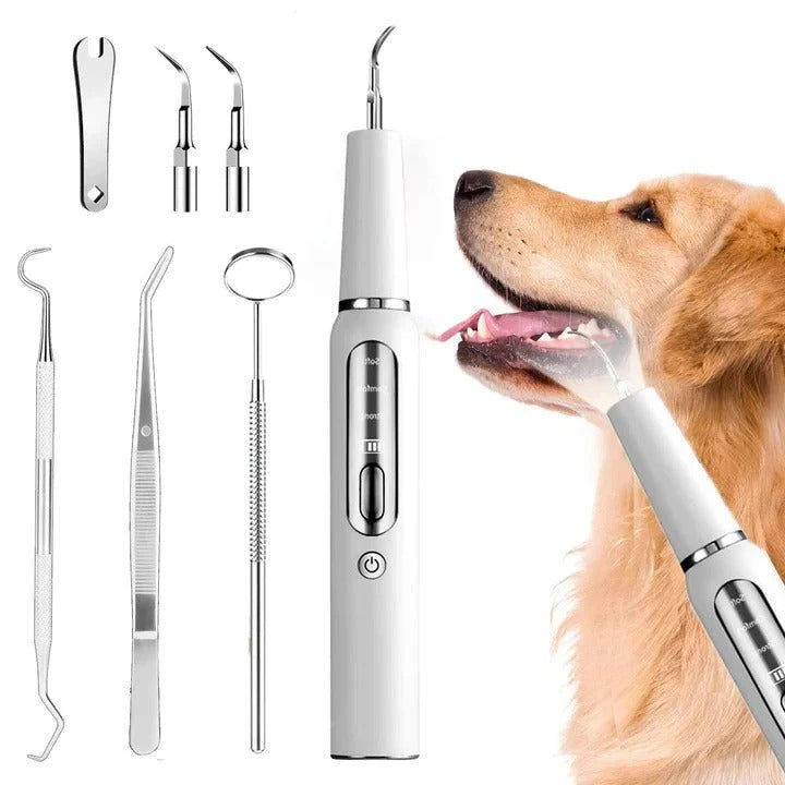 Ultrasonic Pet Dental Cleaning Tool