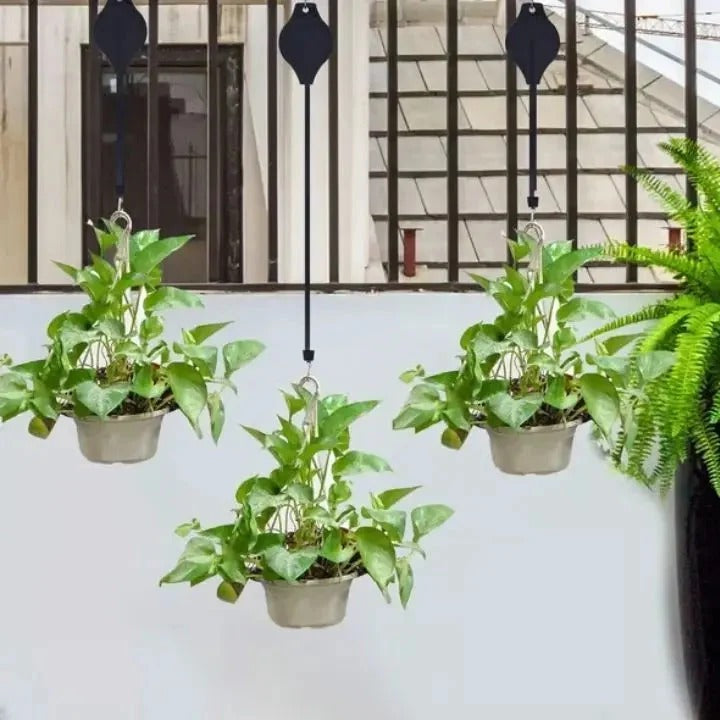 Height-Adjustable Plant Hanger Set (2-Pack)