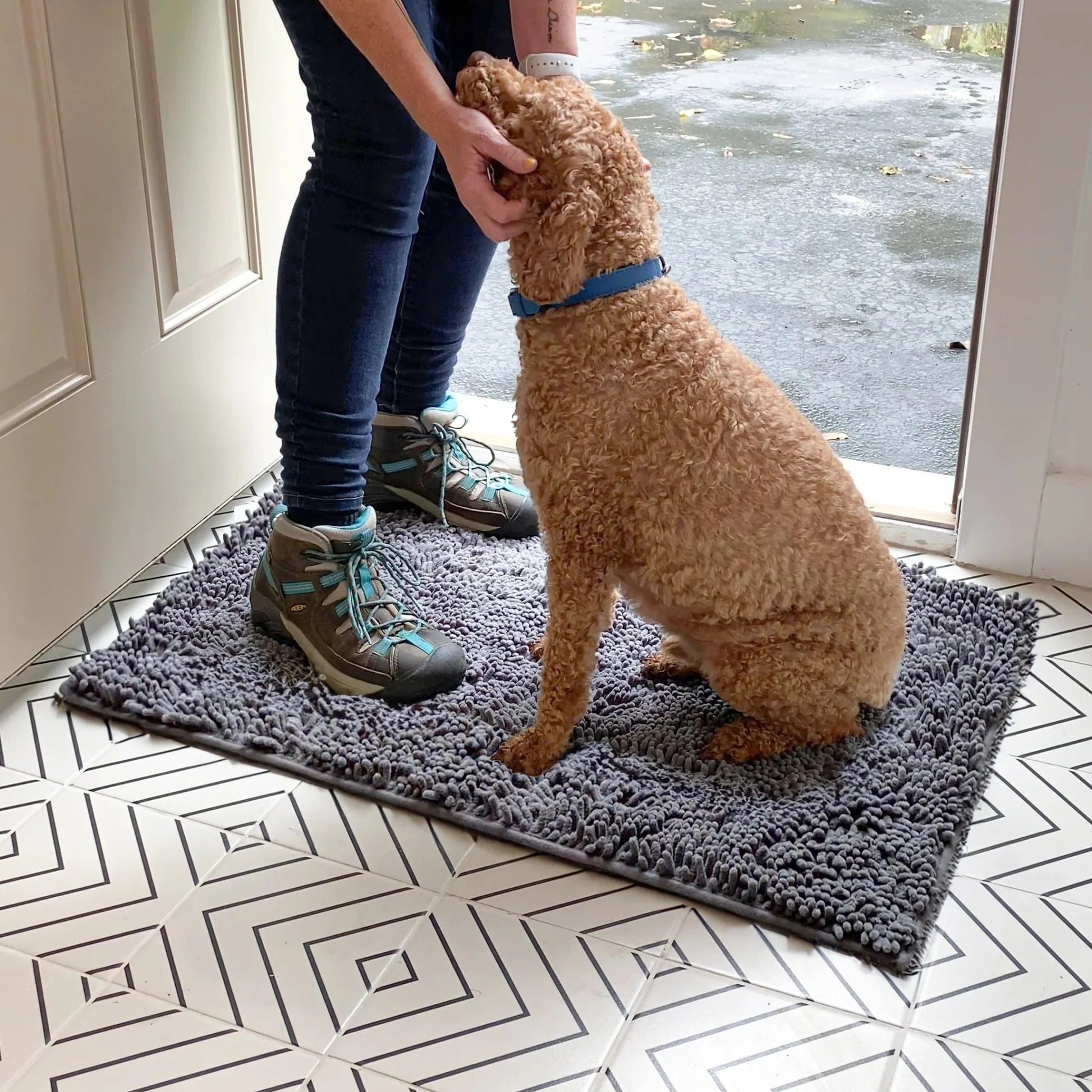 Absorbent Non-Slip Dog Doormat