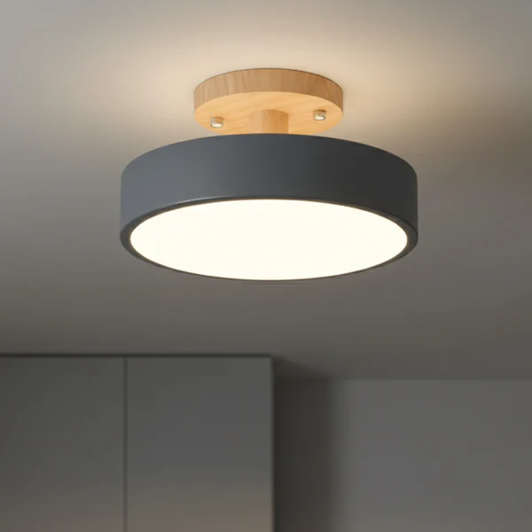 Flush Mount Ceiling Light Scandinavian LED Design