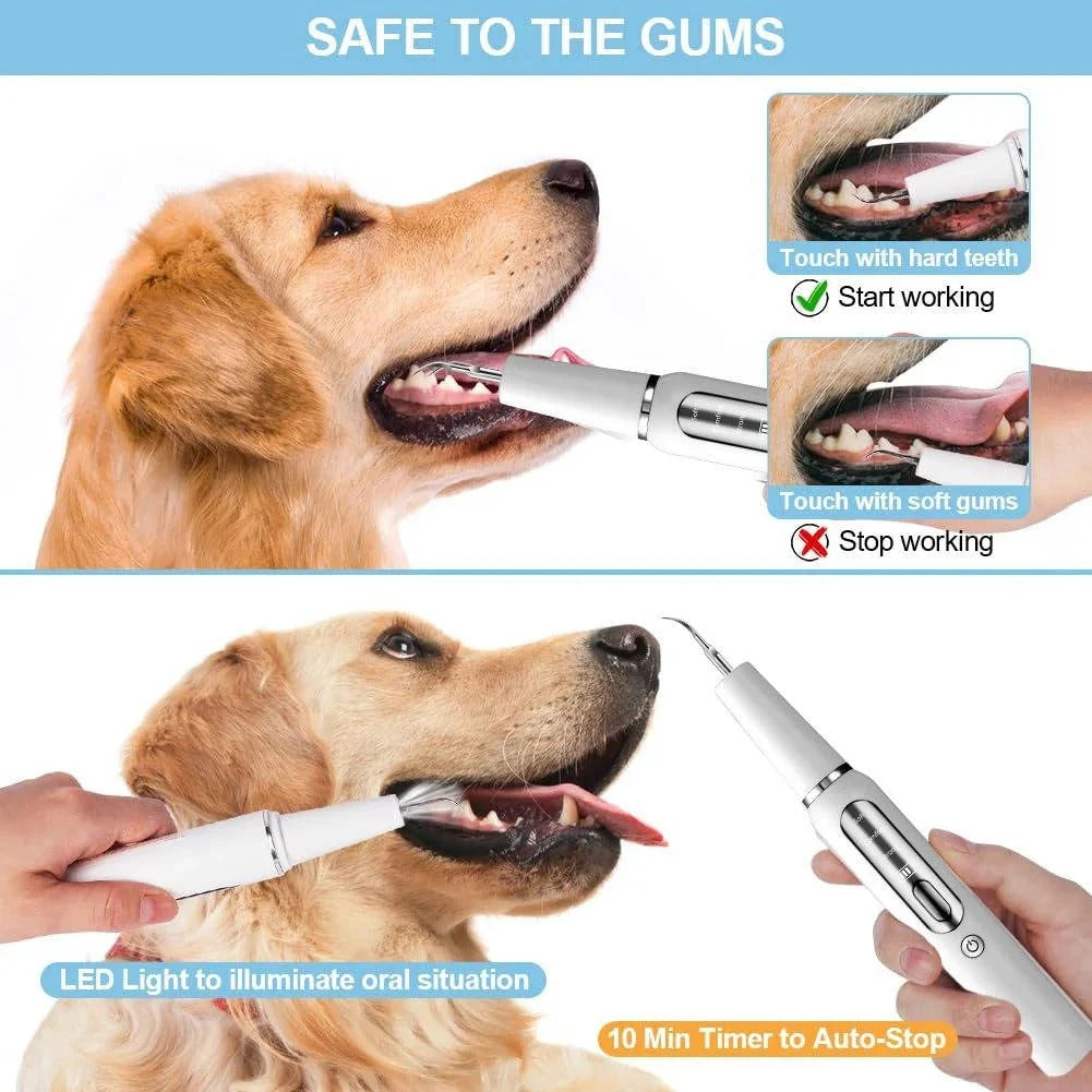 Ultrasonic Pet Dental Cleaning Tool