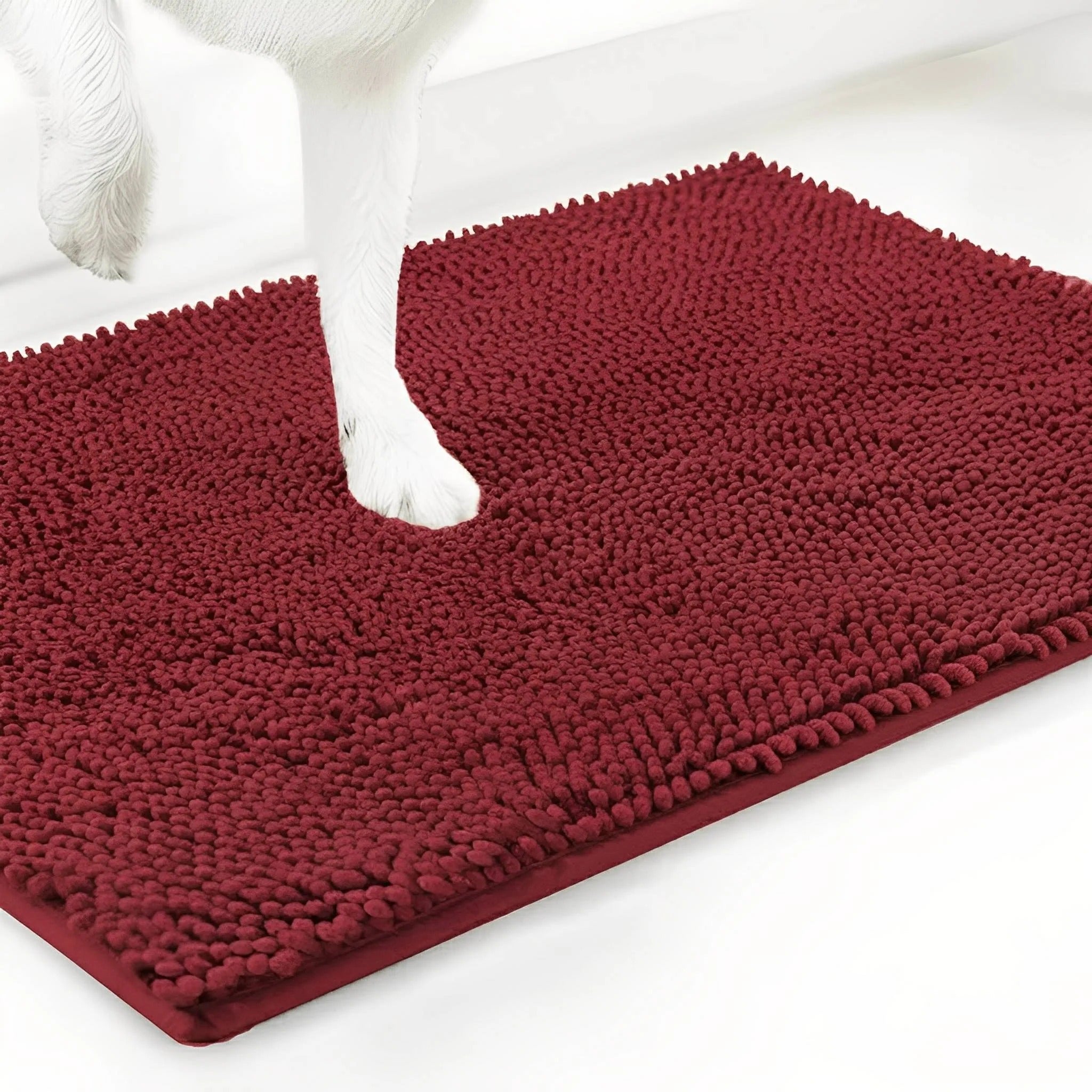 Absorbent Non-Slip Dog Doormat