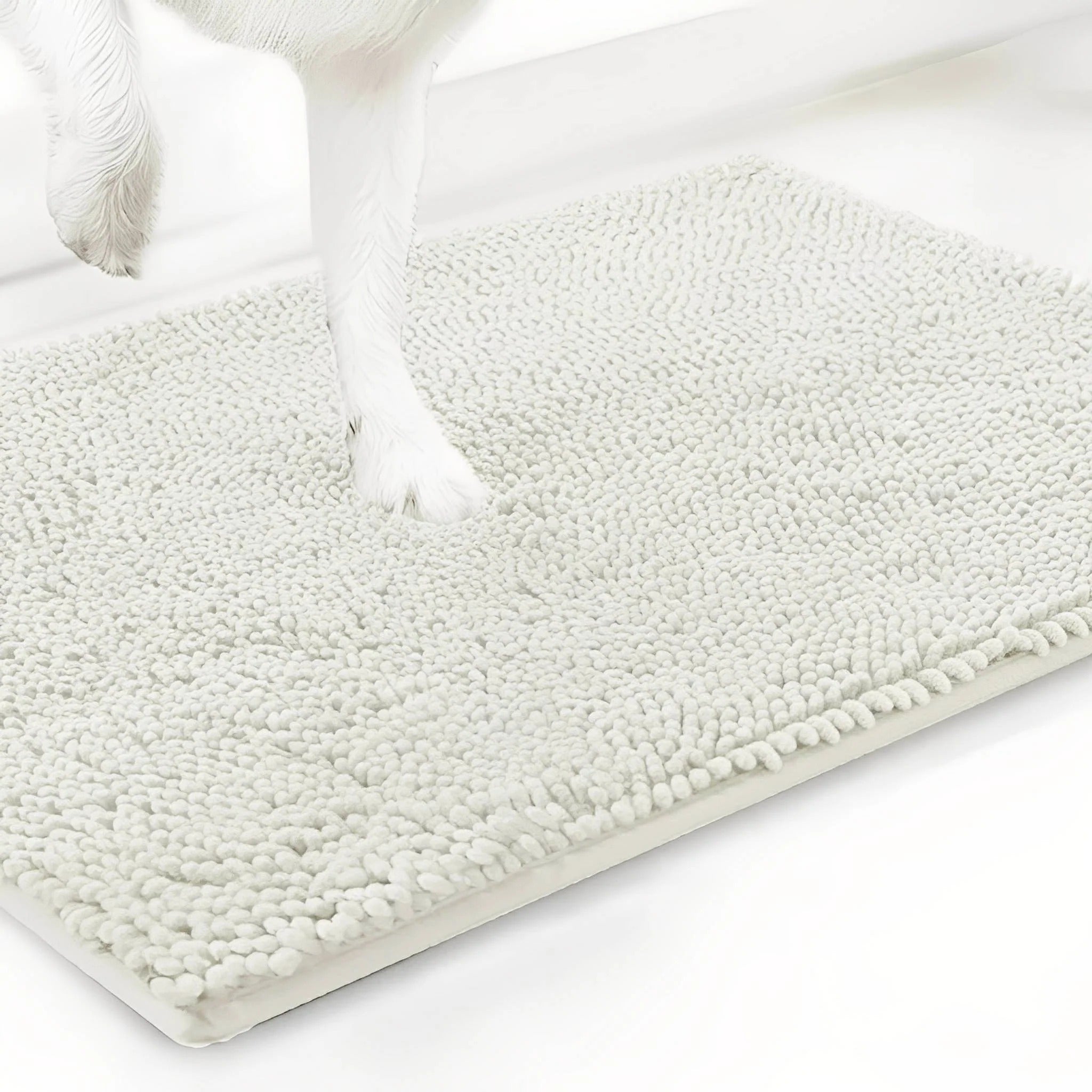 Absorbent Non-Slip Dog Doormat