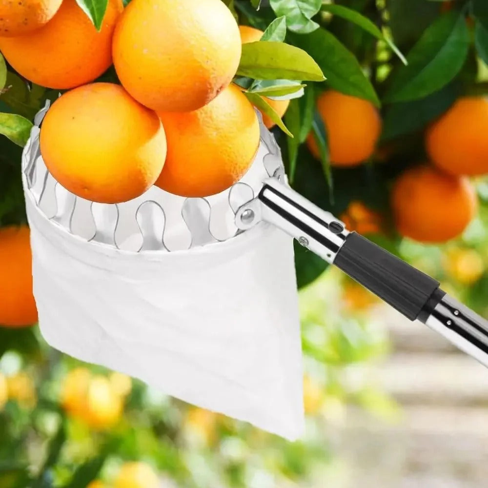 Telescopic Fruit Picker