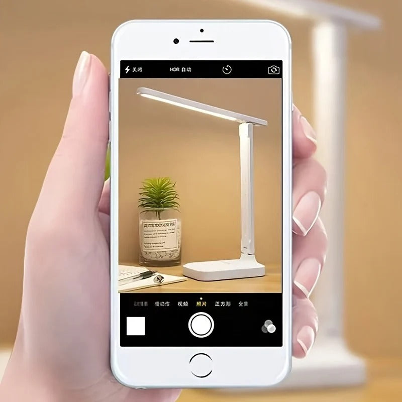 LED Desk Lamp with Phone Stand