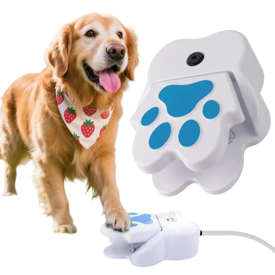 Paw-Activated Dog Water Fountain