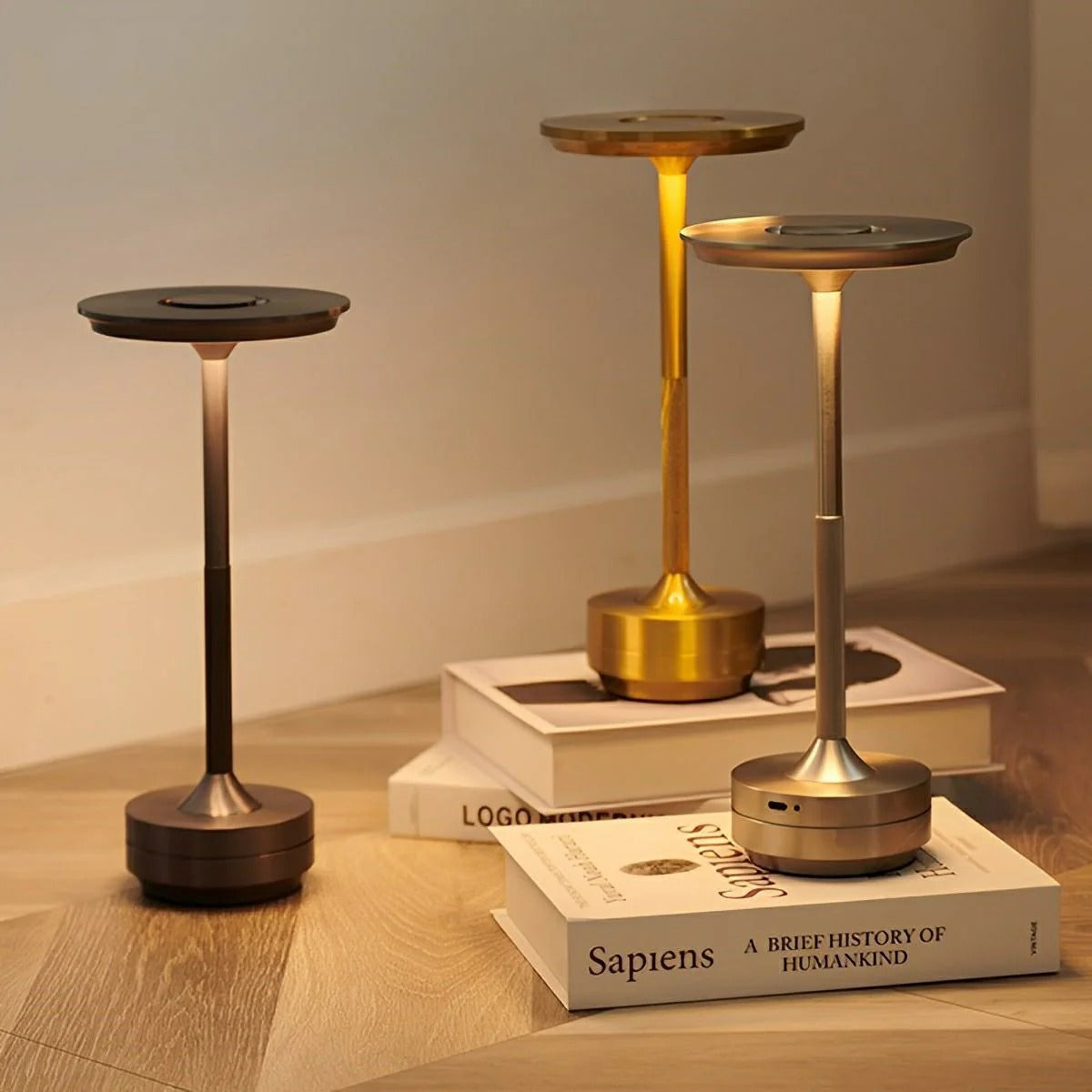 LED Table Lamp Aluminum & Acrylic Dimmable · USB-C Rechargeable