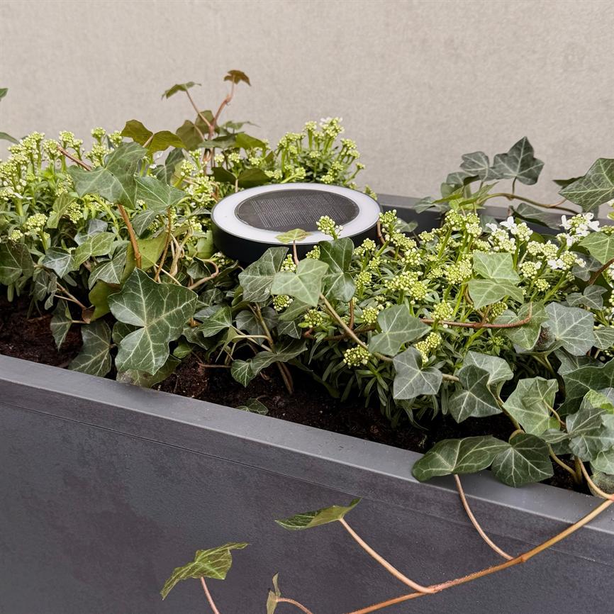 Otera Gartenleuchte „Spyd“ – Schwarz