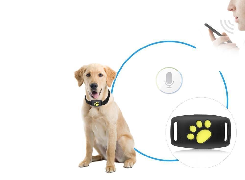 CAT GPS Tracker – Real-time Tracking Without Subscription