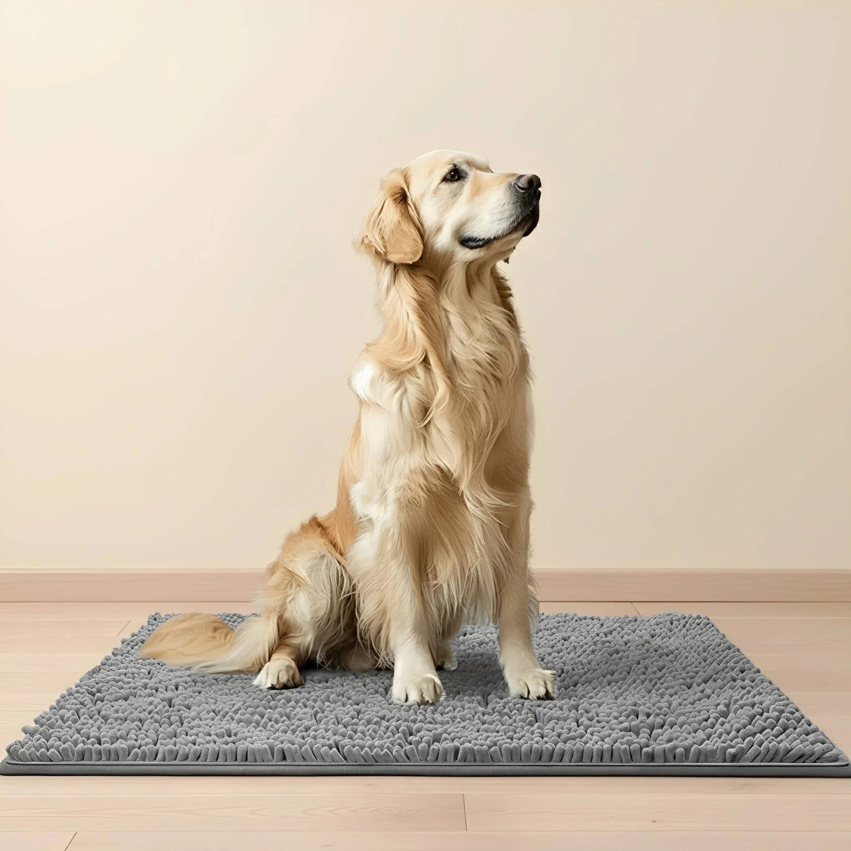 Absorbent Non-Slip Dog Doormat