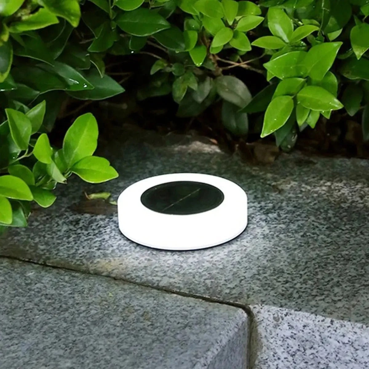 Solar Garden Lights Value Set