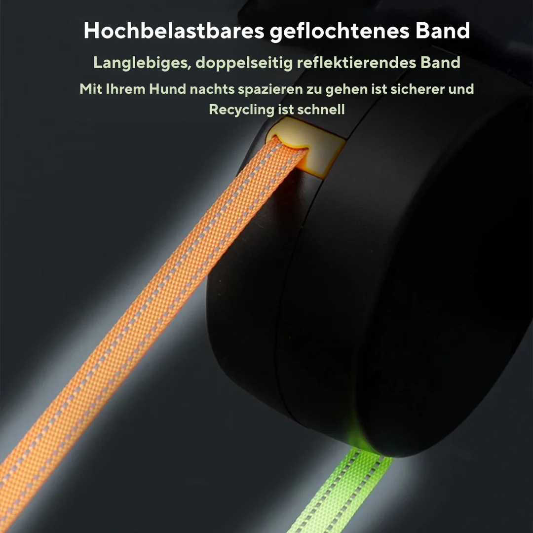 Double Dog Leash with LED Light