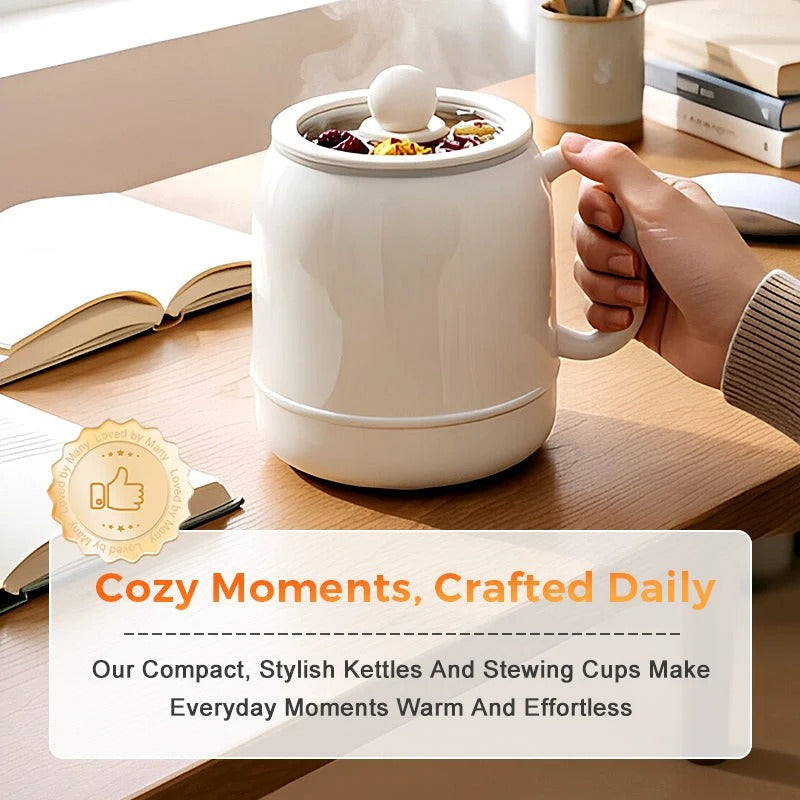 Electric Multifunctional Cooking Mug
