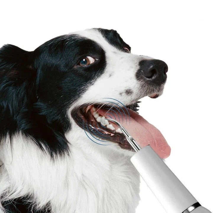 Ultrasonic Pet Dental Cleaning Tool