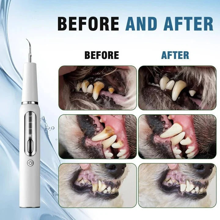 Ultrasonic Pet Dental Cleaning Tool