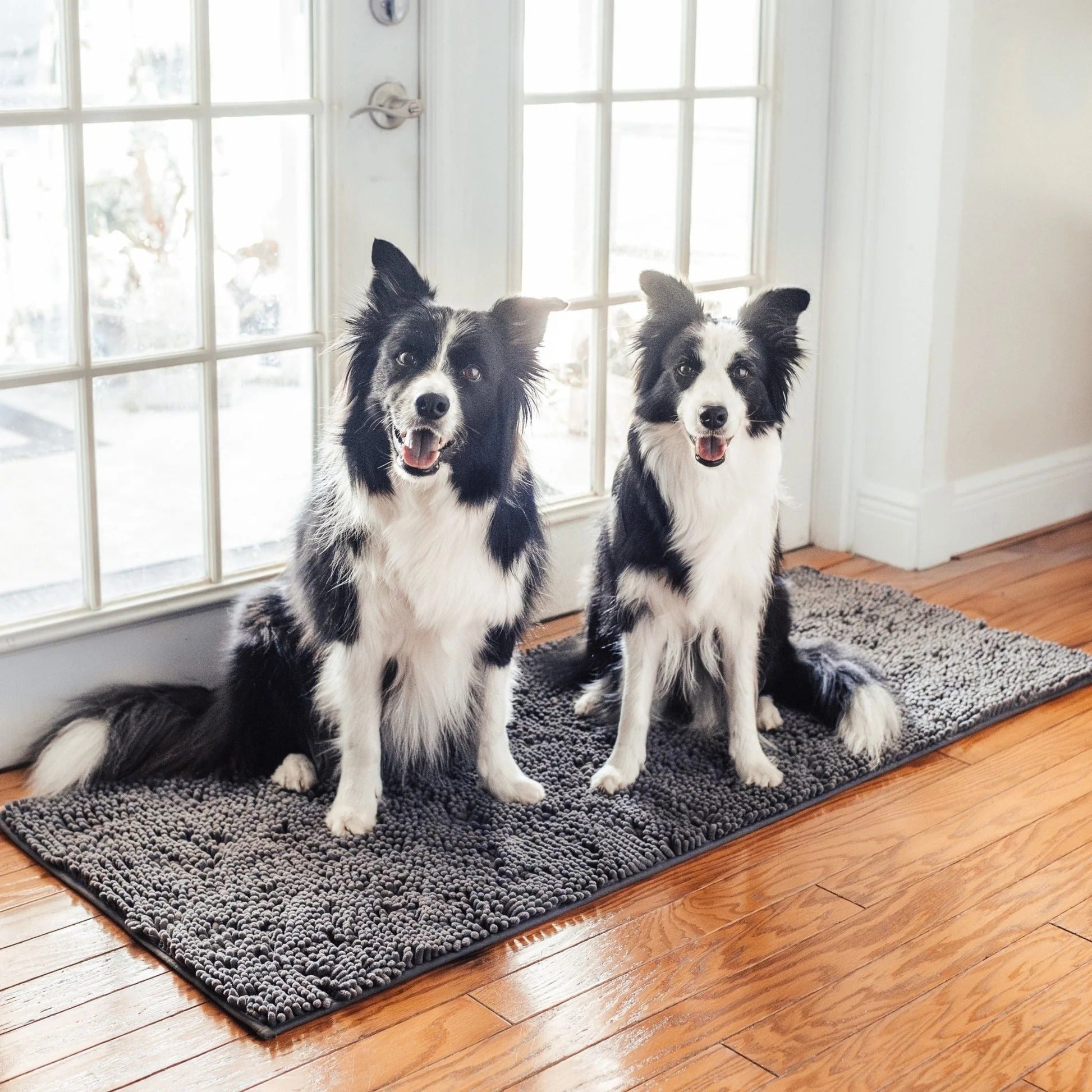 Absorbent Non-Slip Dog Doormat