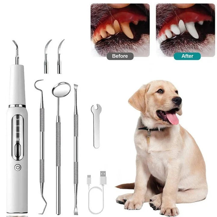 Ultrasonic Pet Dental Cleaning Tool