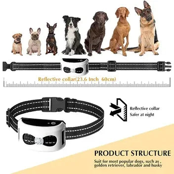 Wireless Dog Fence and Training Collar (2-in-1)