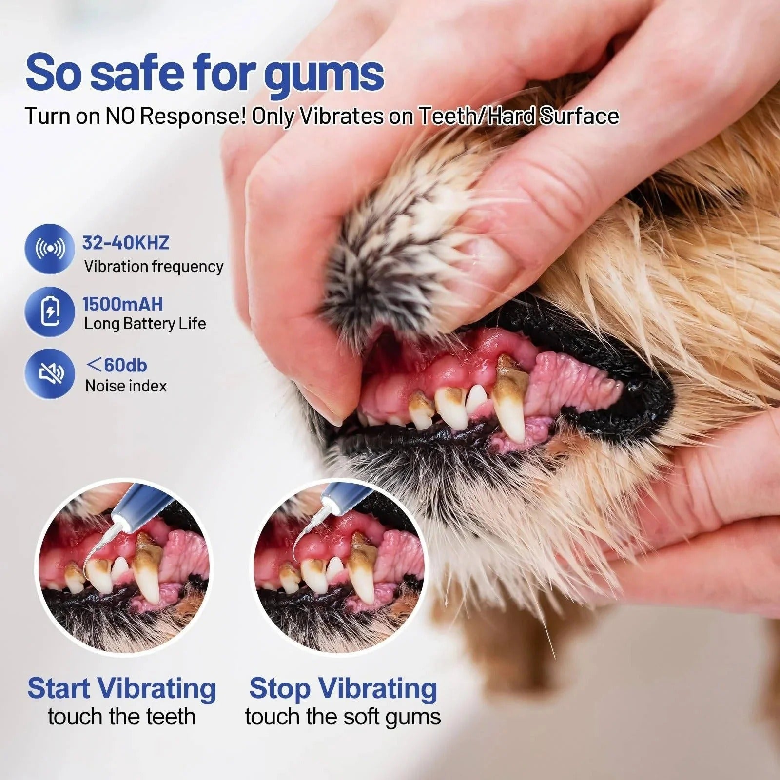 Ultrasonic Pet Dental Cleaning Tool