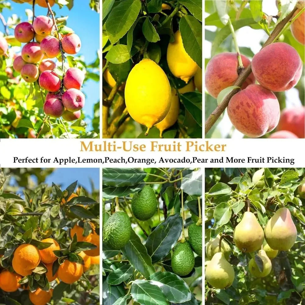 Telescopic Fruit Picker