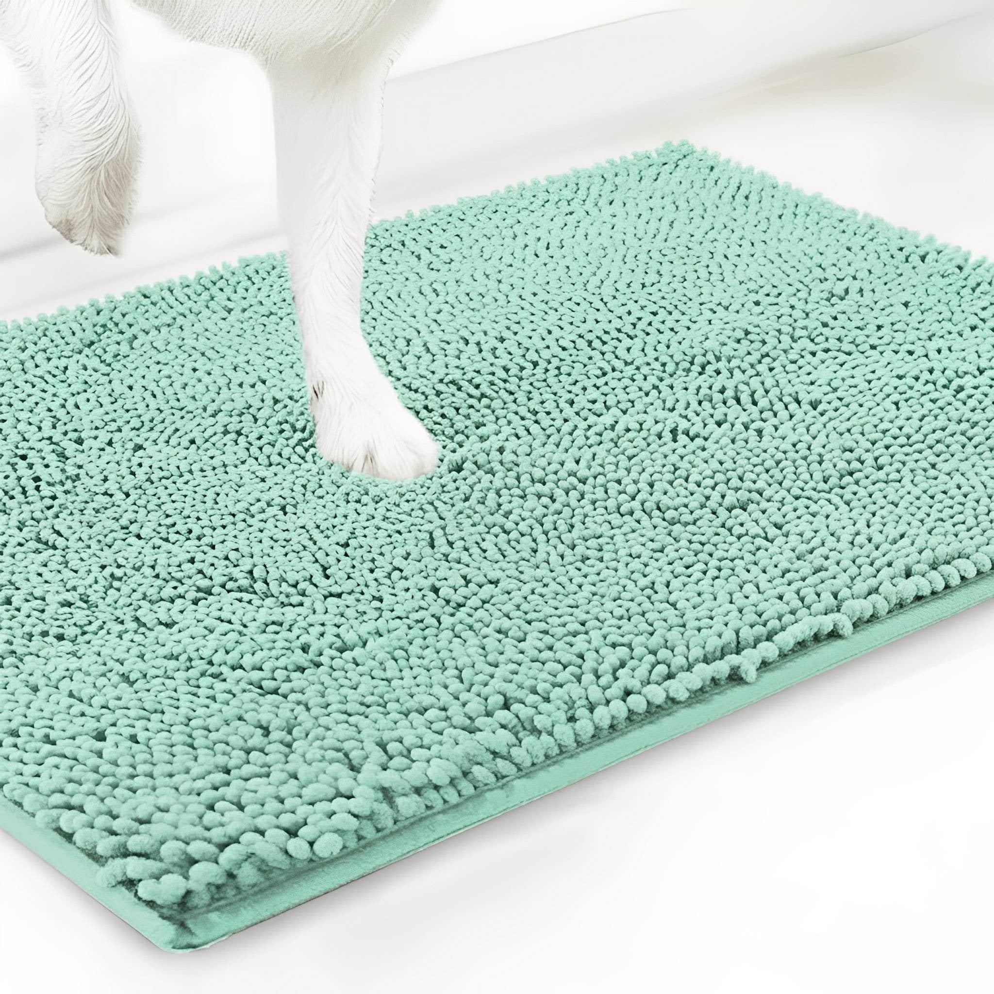 Absorbent Non-Slip Dog Doormat