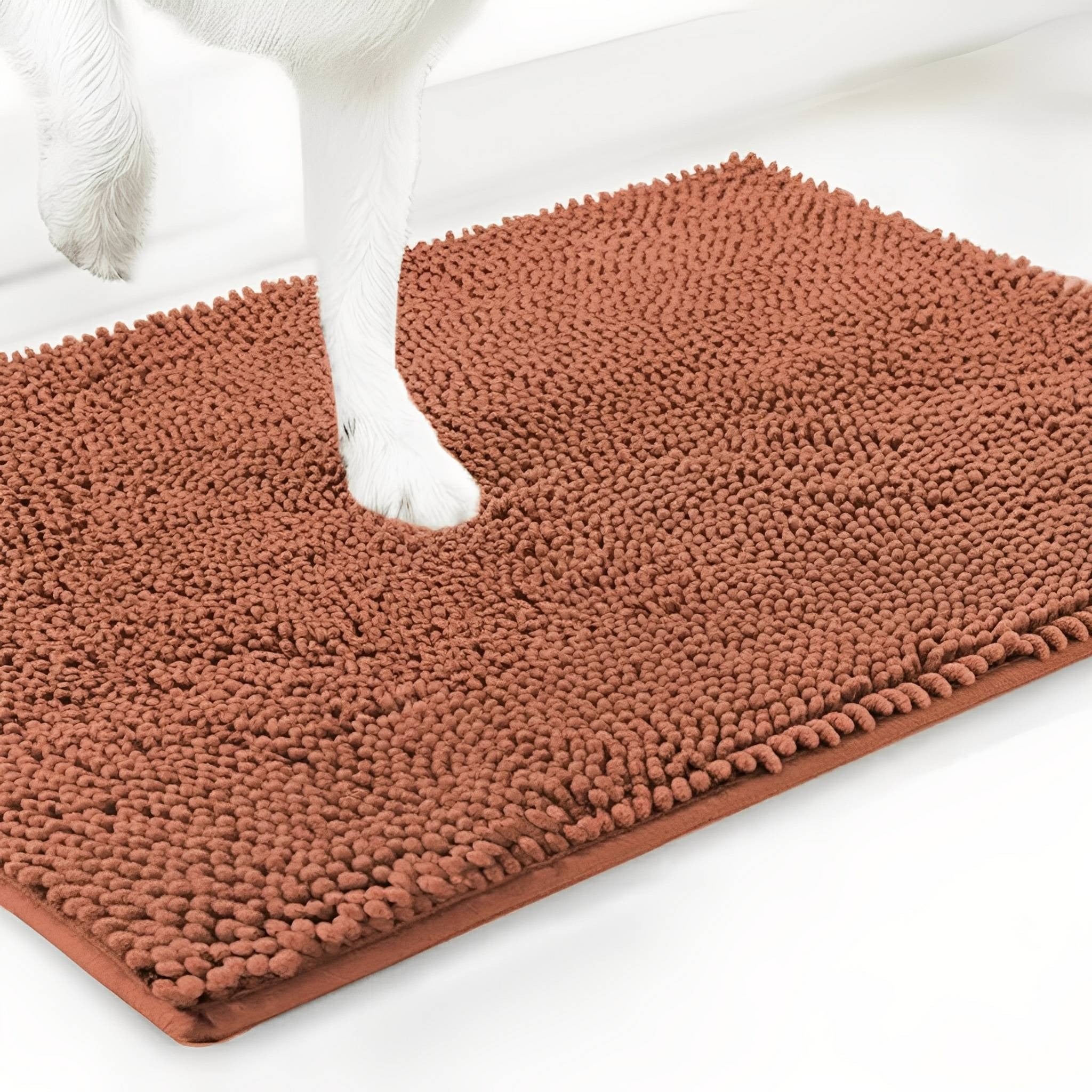 Absorbent Non-Slip Dog Doormat