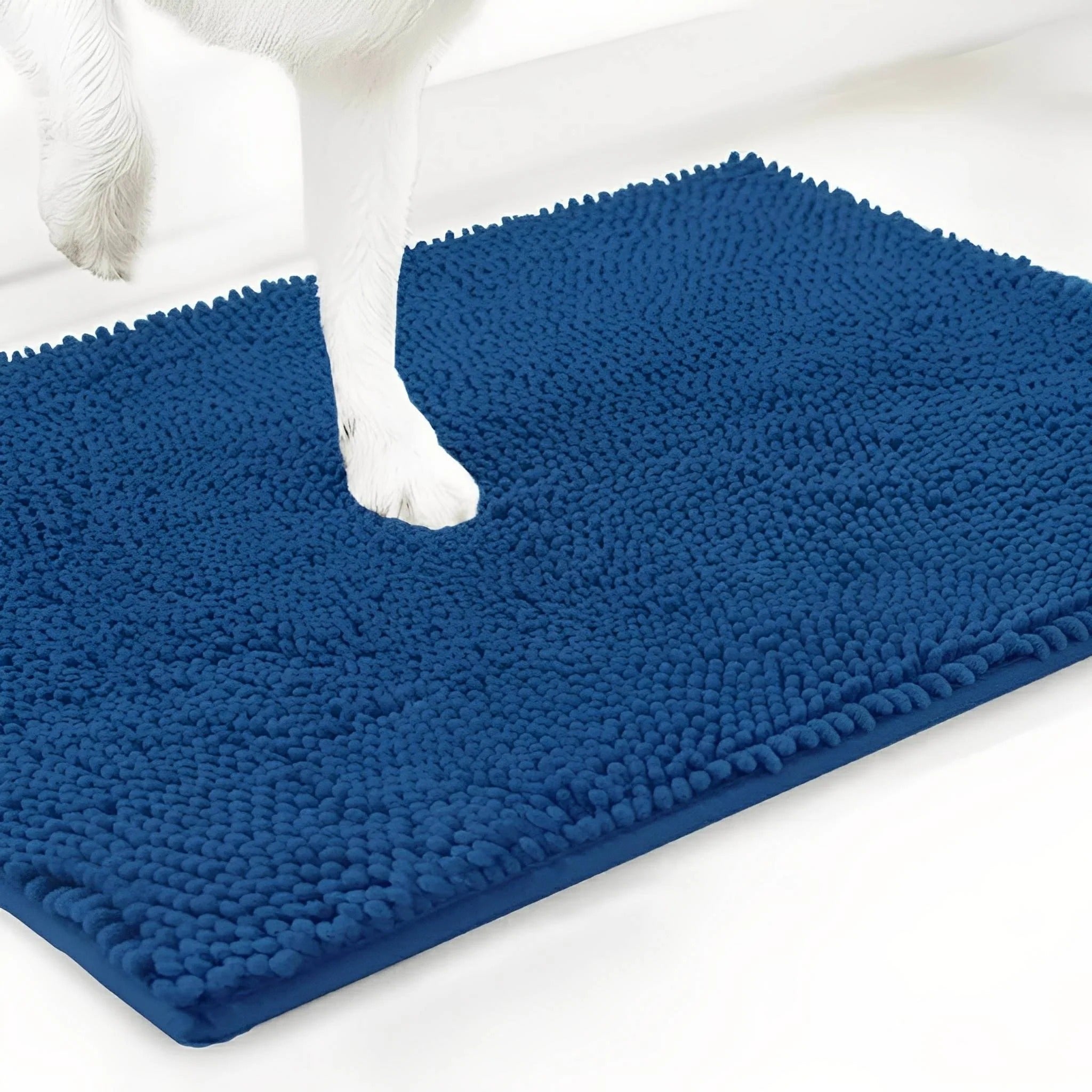 Absorbent Non-Slip Dog Doormat