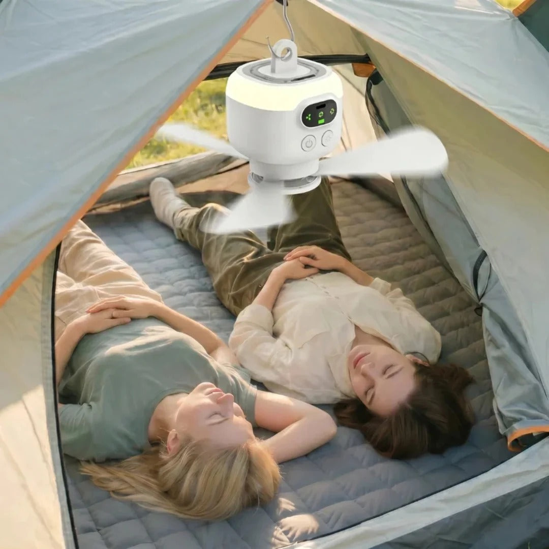 Portable Fan with LED and Remote