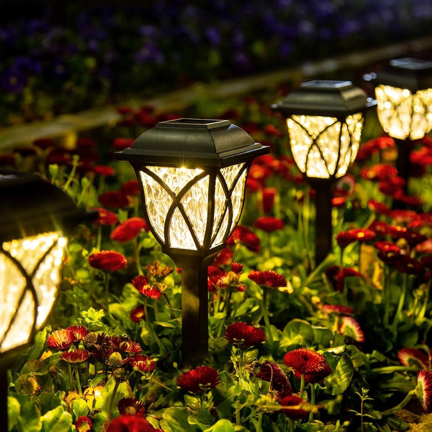 Solar LED Garden Lights (6-Pack)