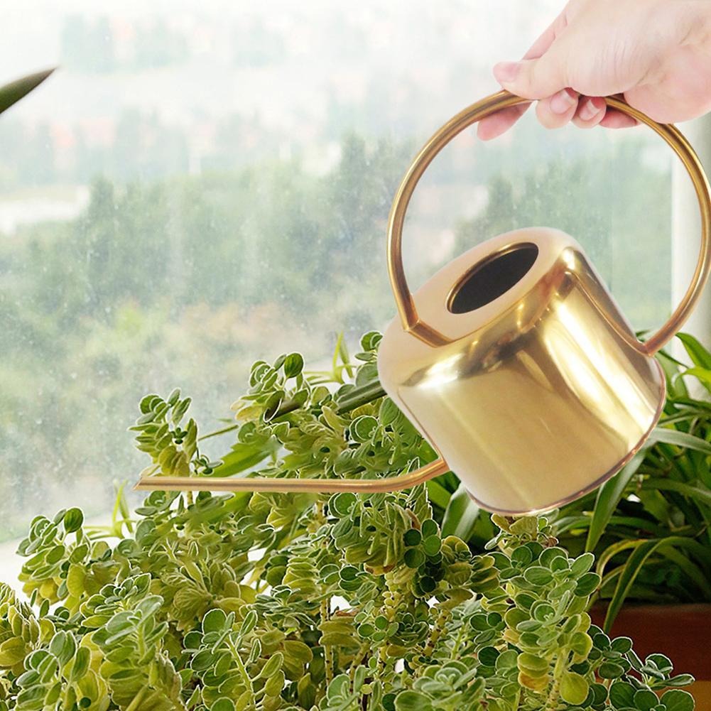 Oval Gold Stainless Steel Watering Can