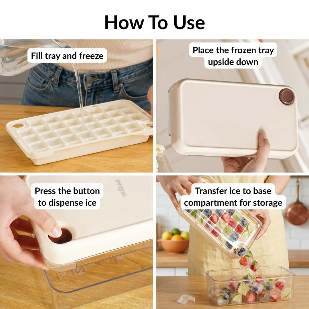 Ice Cube Tray with Lid and Container (32 Cubes)