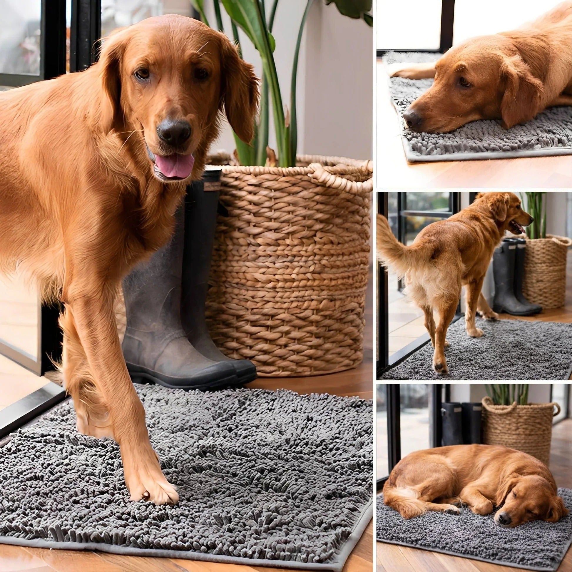 Absorbent Non-Slip Dog Doormat